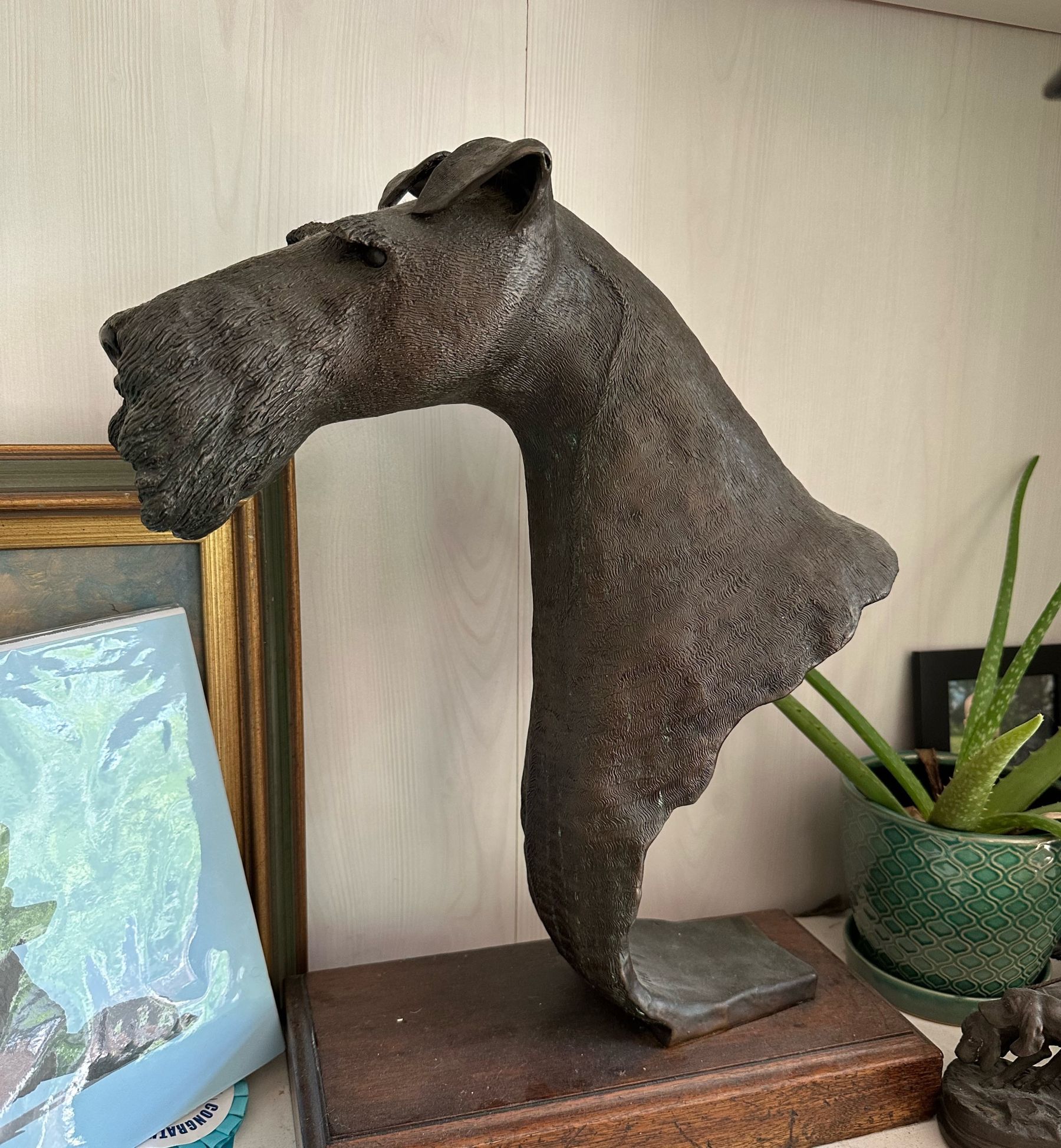 Question of the Week